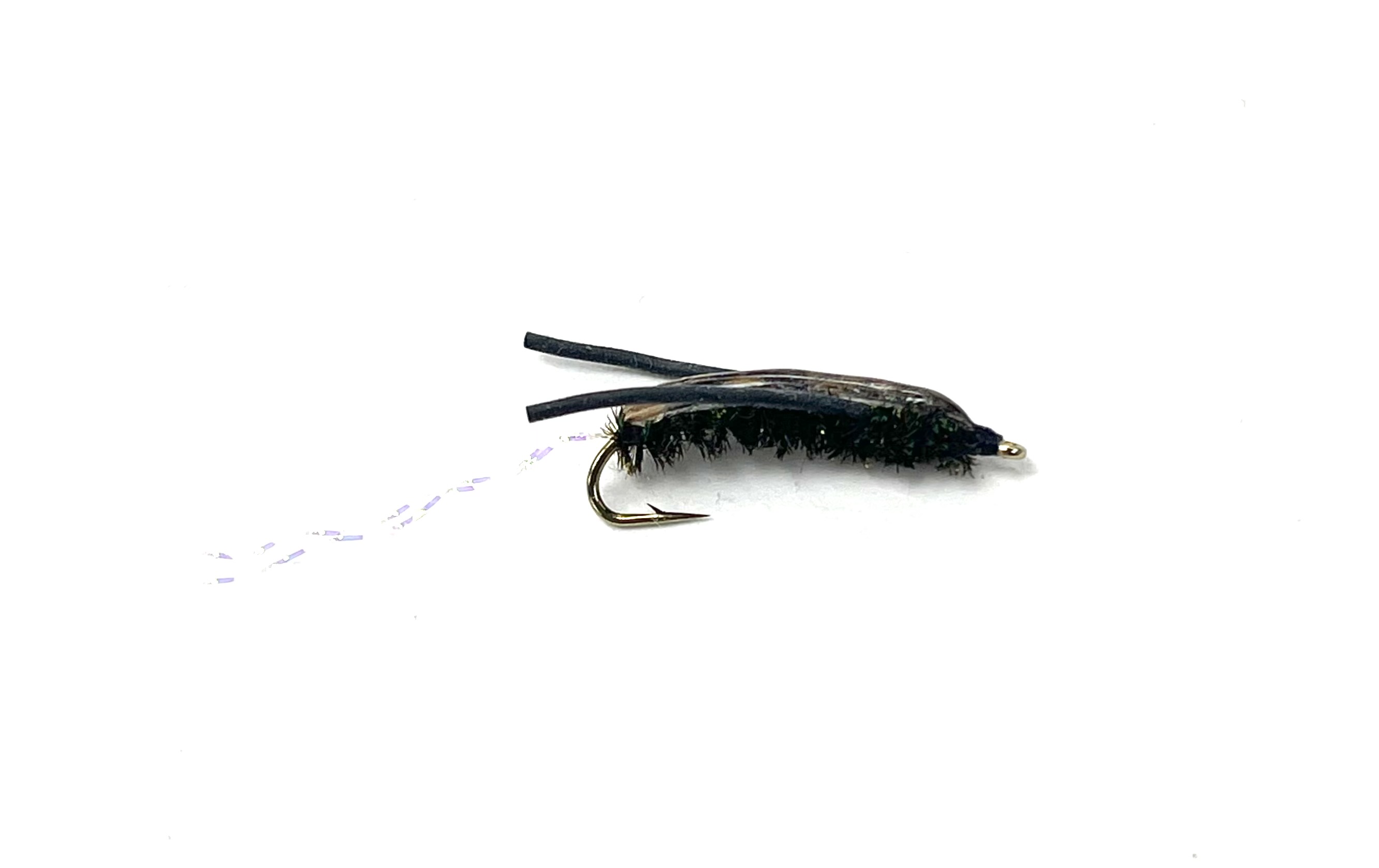 Water Boatman
